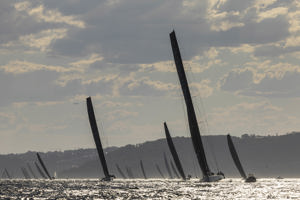 Cabbage Tree Island 2025.    Image: CYCA/Andrea Francolini