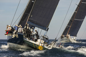 Cabbage Tree Island 2025 - RP 69 Moneypenny.    Image: CYCA/Andrea Francolini