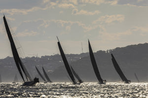 Cabbage Tree Island 2025.    Image: CYCA/Andrea Francolini
