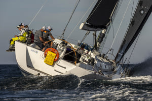 Cabbage Tree Island 2025 - MRV.    Image: CYCA/Andrea Francolini