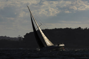 Cabbage Tree Island 2025 - Class 40 First Light.    Image: CYCA/Andrea Francolini