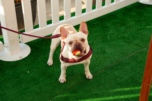 CYCA Women in Sailing Night.  Image: CYCA/Ashley Dart