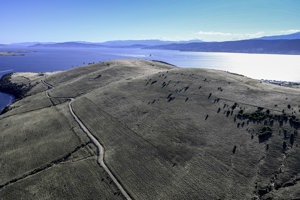 MASTER LOCK COMANCHE crosses the finish line in Hobart to claim line honours at the 2025 Rolex Sydney Hobart Yacht Race

MASTER LOCK COMANCHE, Sail No: CAY007, Owner: Matt Allen/James Mayo - Charterers, Skipper: Matt Allen/James Mayo, Club: CYCA/RPEYC, NSW, Design: VPLP Verdier 100, LOA (m): 30.5, Year: 2014