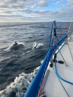 Calmer waters and dolphins visiting