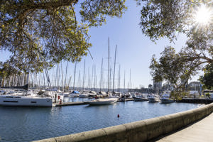 Noakes Sydney Gold Coast 2026 - Dockside    