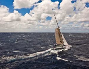 Investec Loyal in Bass Strait