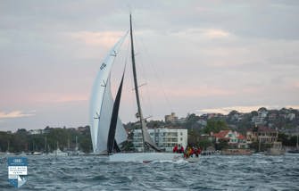 Gusty Cabbage Tree Race plays into Black Jack’s hands