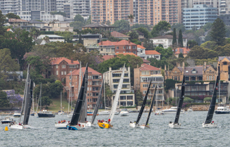 PHOTOS | 2024 Bird Island Race additional race start images