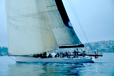 Ragamuffin Loyal Update