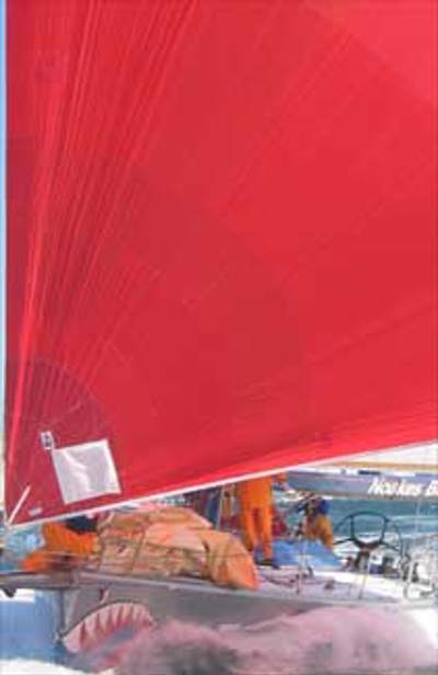 Spinnakers set for Gold Coast Race