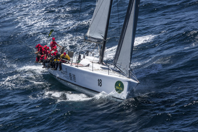 Wedgetail dismasted – two out with rudder problems