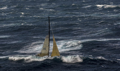 Photo Gallery: 29 December 2013