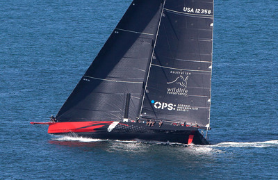Comanche First Sydney Sail