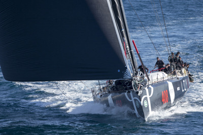 Perpetual Loyal takes line honours