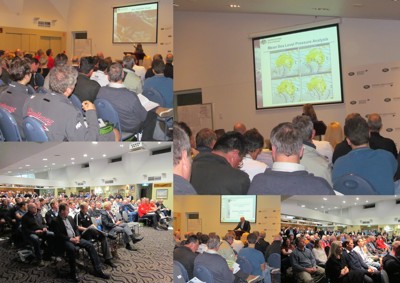 Scene set for slow start to Land Rover Sydney Gold Coast Yacht Race 