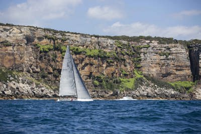 Bird Island Race nears