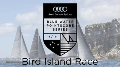 VIDEO | Bird Island 