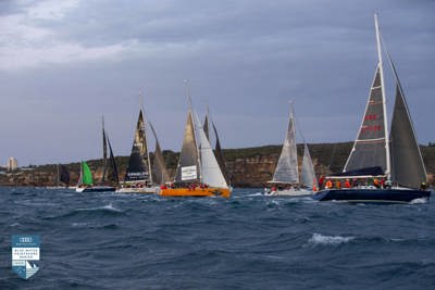 PHOTOS | Cabbage Tree Island Race start