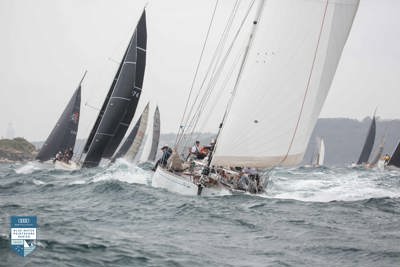 VIDEO | Bird Island Race start