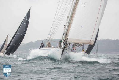 PHOTOS | 2019 Bird Island Race start