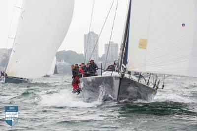 Previous Rolex Sydney Hobart victors show their renewed form in Bird Island Race