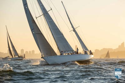 VIDEO | Cabbage Tree Island 