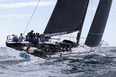 Ears pinned, pincers poised – is URM Group poised for victory?