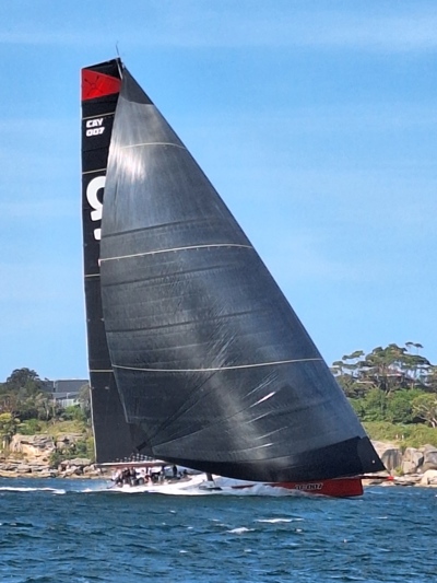 PHOTOS | 2023 Bird Island Race - finishers