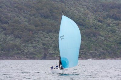 PHOTOS | Cabbage Tree Island roundings