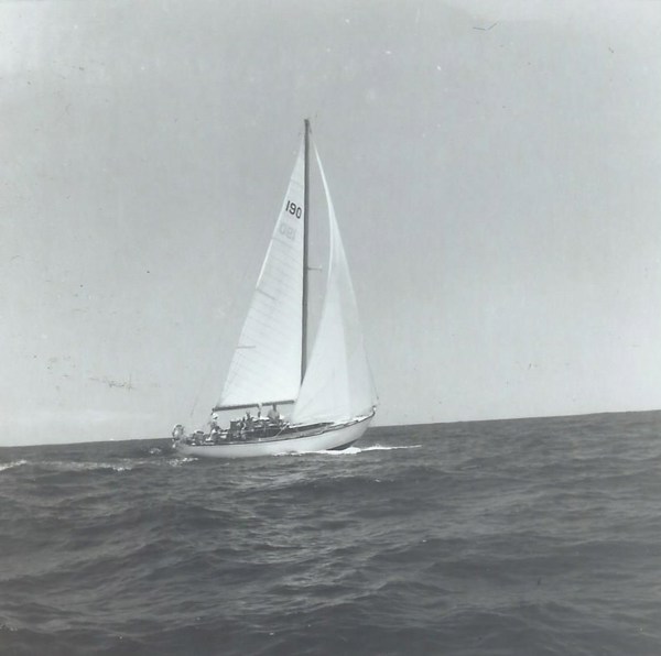 Salacia, a undefined yacht from undefined