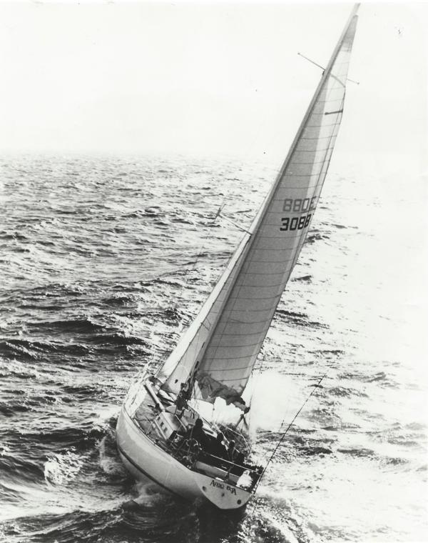 Anaconda, a undefined yacht from undefined