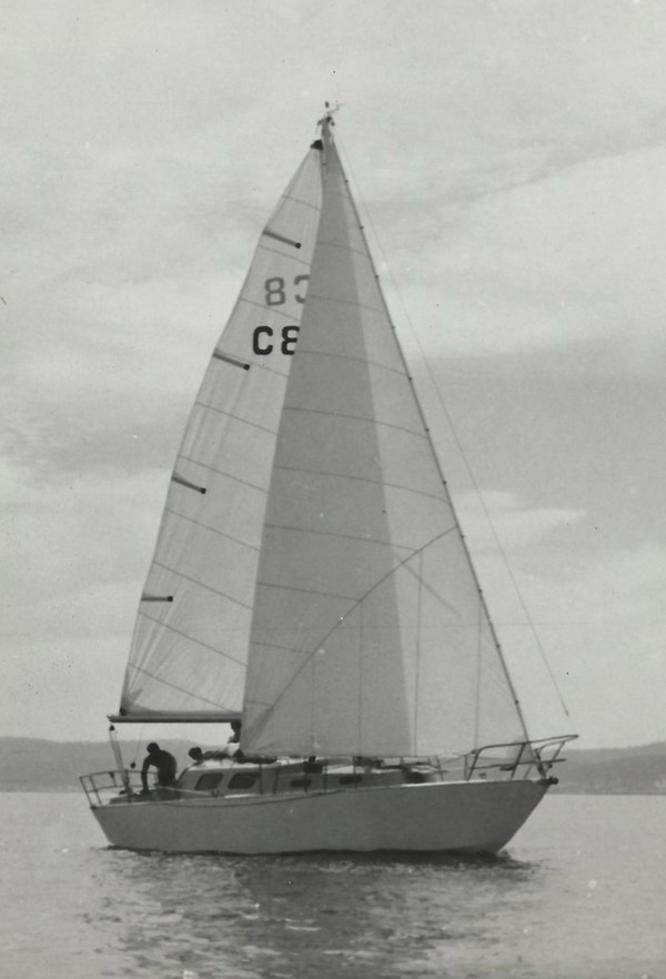 Dorado, a undefined yacht from undefined