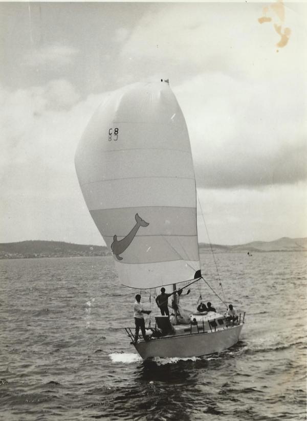 Dorado, a undefined yacht from undefined