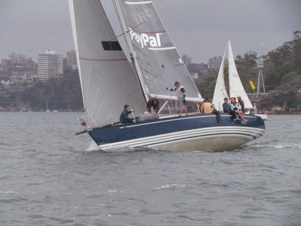 Cyrene 3, a undefined yacht from undefined