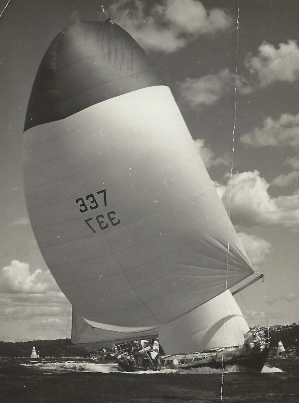 Bacchus D, a undefined yacht from undefined