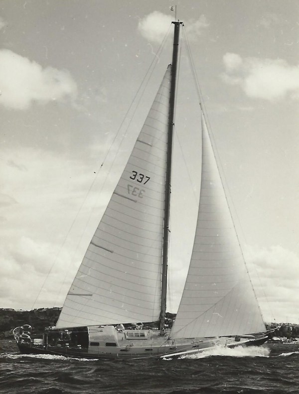 Bacchus D, a undefined yacht from undefined