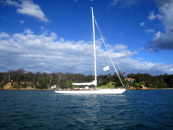 Fidelis, a undefined yacht from undefined