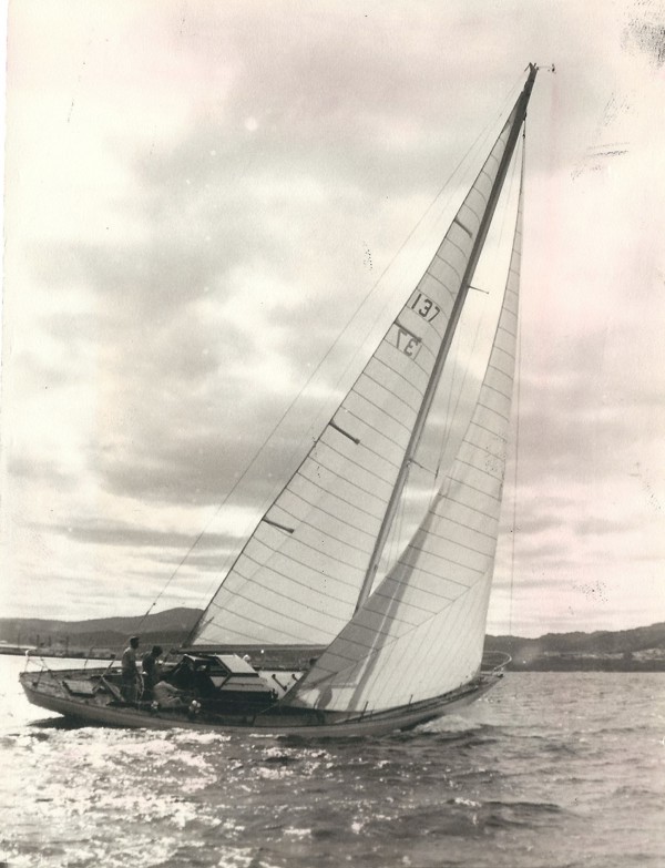 Patsy of Island Bay, a undefined yacht from undefined