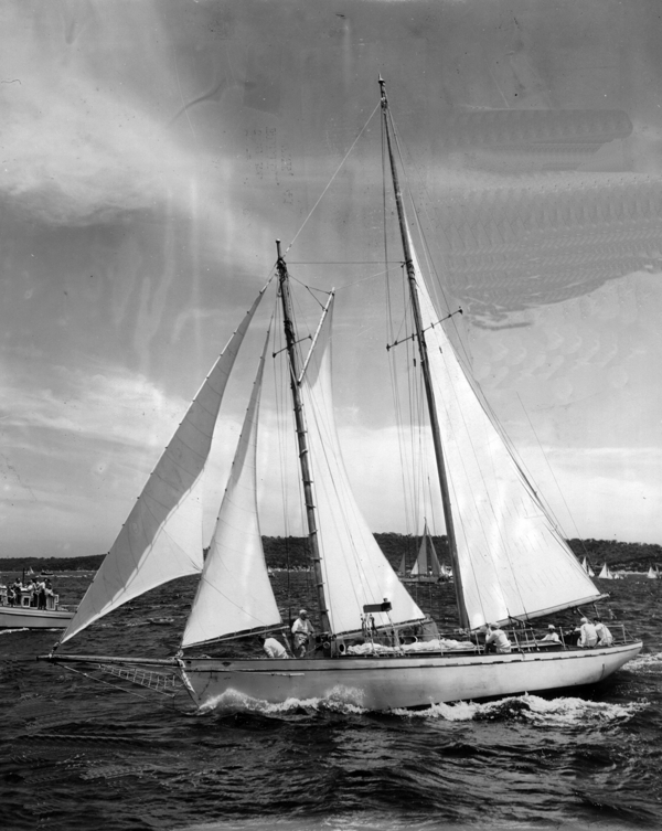 Irene, a undefined yacht from undefined