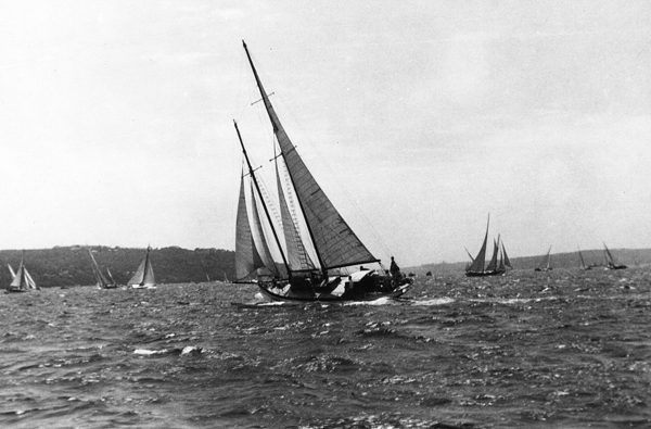 Pavana, a undefined yacht from undefined