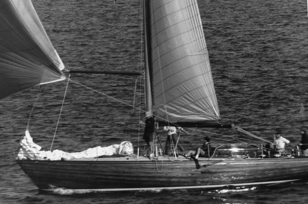 Koomooloo, a undefined yacht from undefined