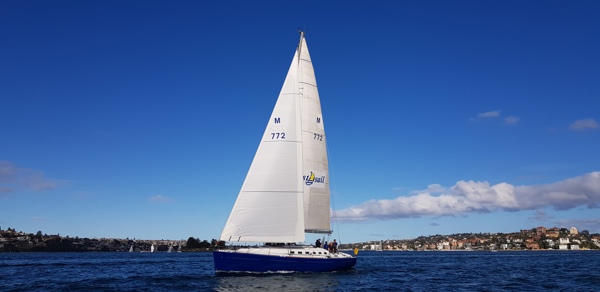 Tribal Warrior, a undefined yacht from undefined