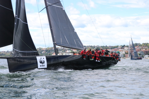 Whisper, a undefined yacht from undefined