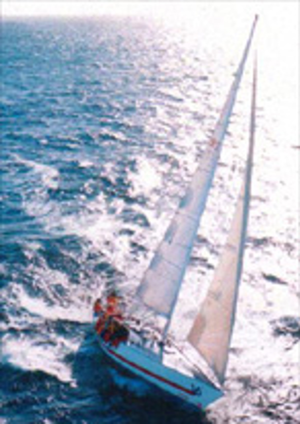 Bacardi, a undefined yacht from undefined