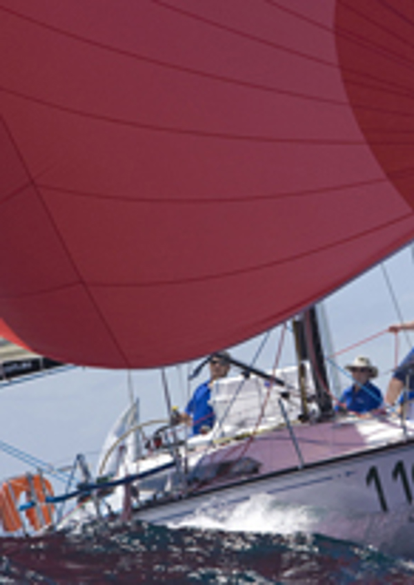 Bear Necessity, a undefined yacht from undefined