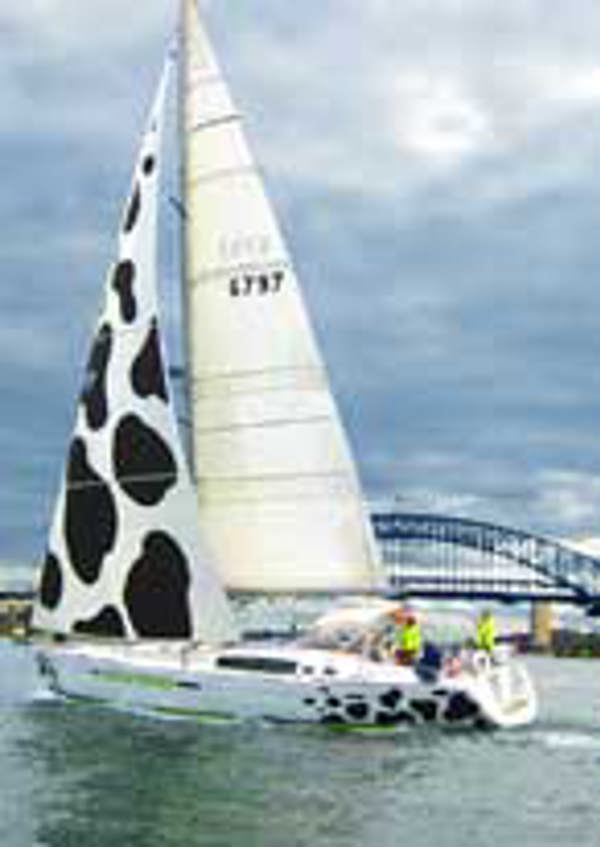 Holy Cow!, a undefined yacht from undefined