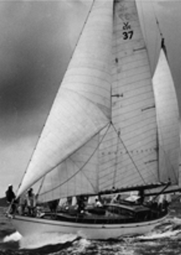 Ilina, a undefined yacht from undefined