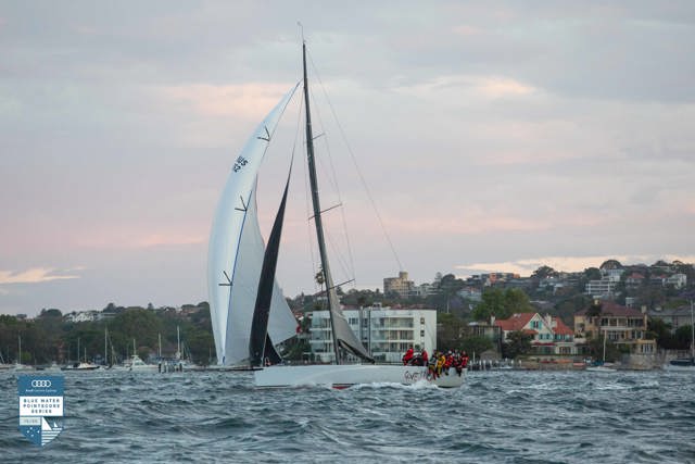 Gusty Cabbage Tree Race plays into Black Jack’s hands