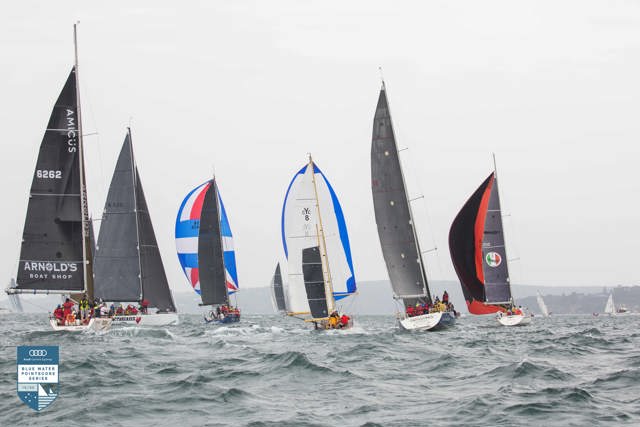 Flying start for the 2019 Bird Island Race