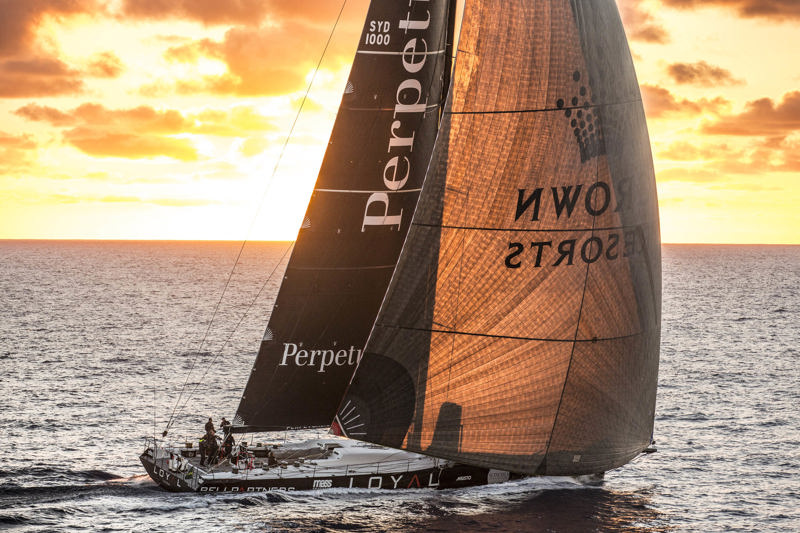 Perpetual LOYAL hangs onto her early morning lead - just